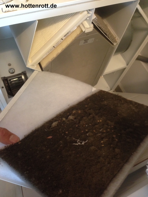 Filterwechsel Helios Lftungsanlage , Hannover