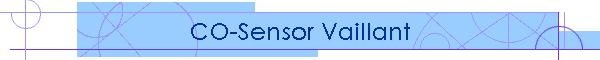 CO-Sensor Vaillant