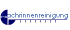 Dachrinnenreinigung